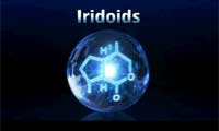 Iridoids